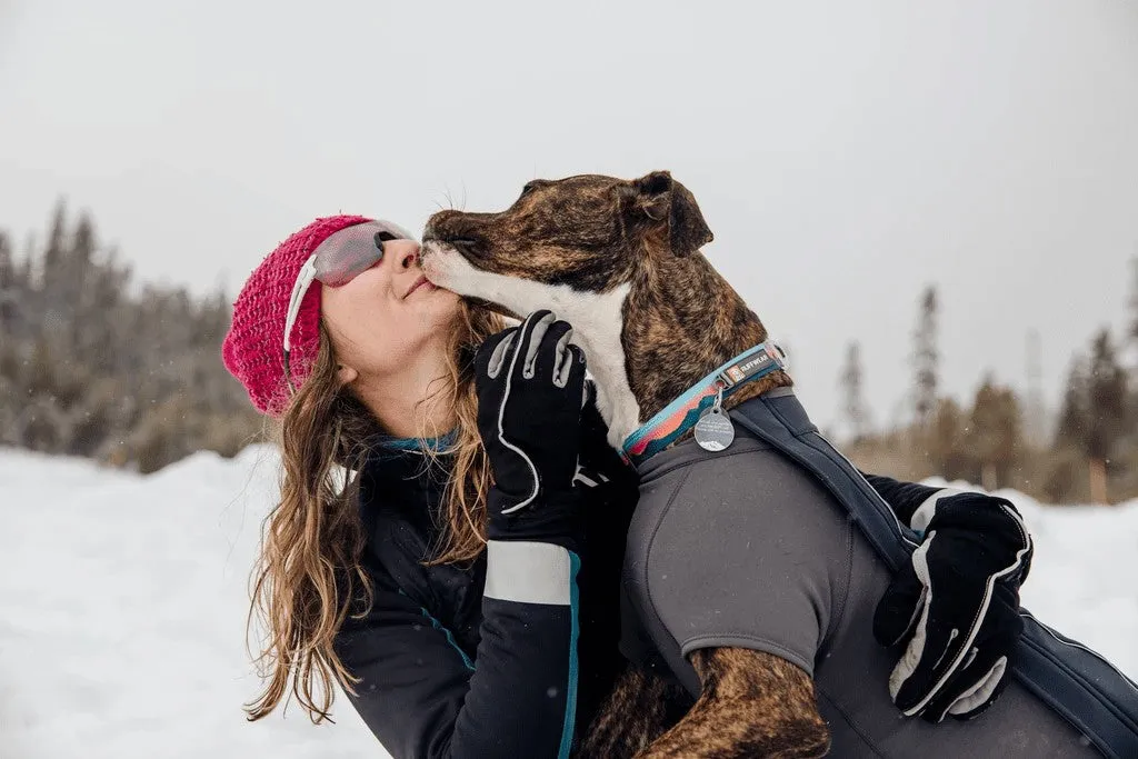 Cloud Chaser Waterproof Dog Coat