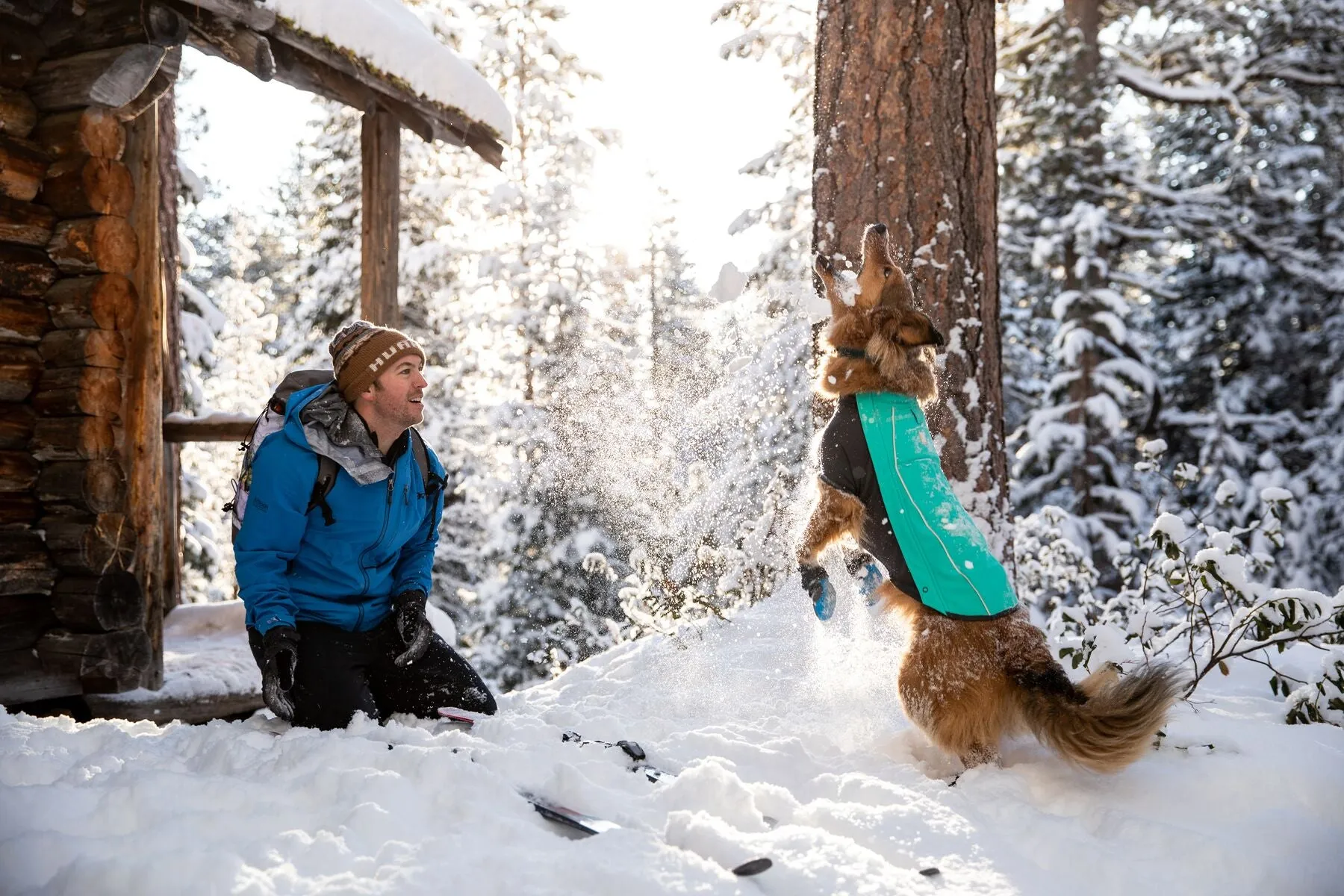 Cloud Chaser Waterproof Dog Coat