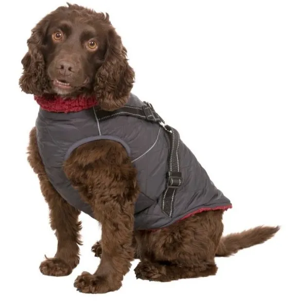 Hercules - Windproof 2 In 1 Dog Jacket With Harness