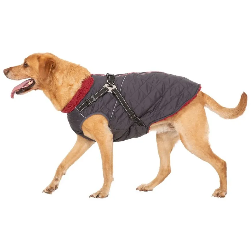 Hercules - Windproof 2 In 1 Dog Jacket With Harness