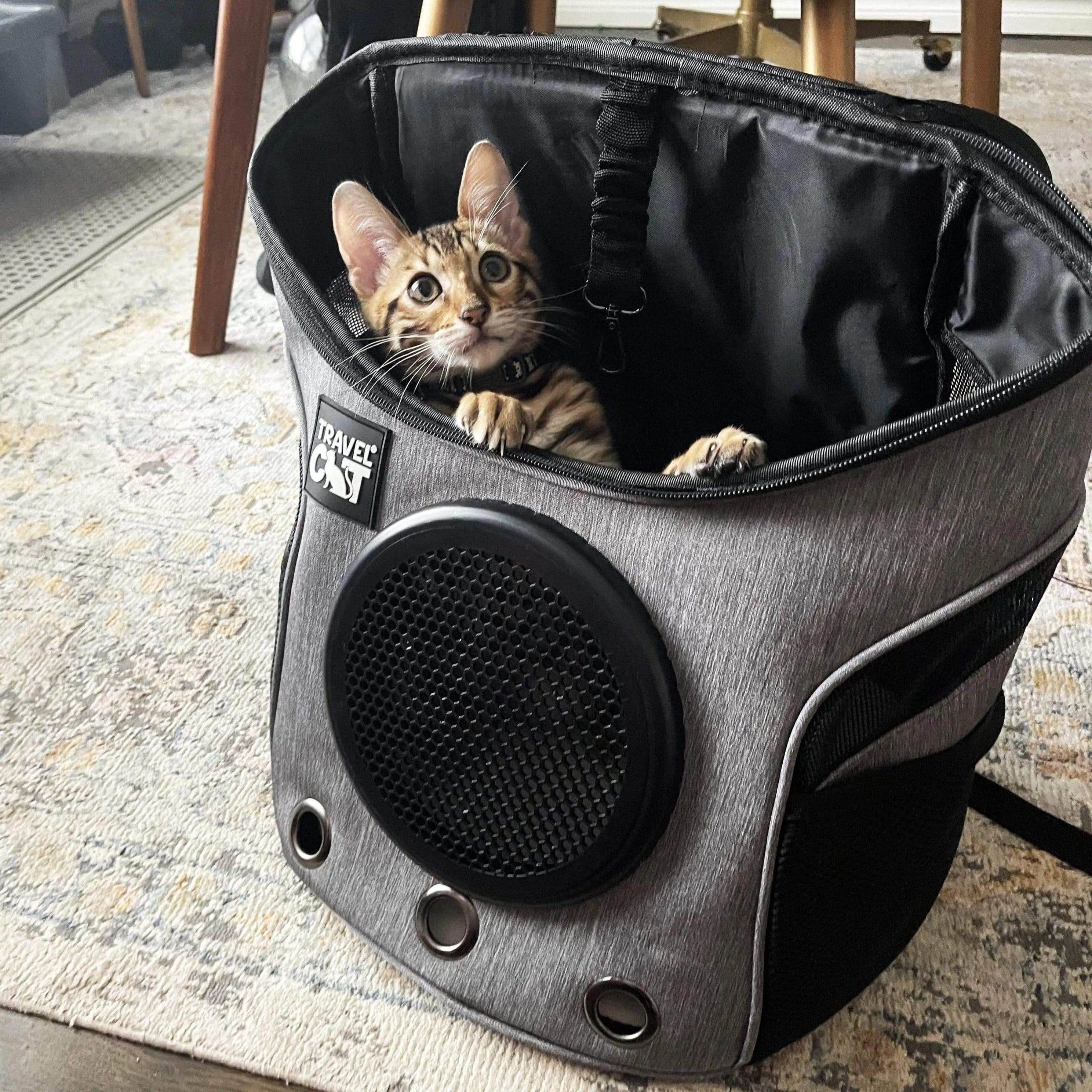 "The Fat Cat" Mini Cat Backpack