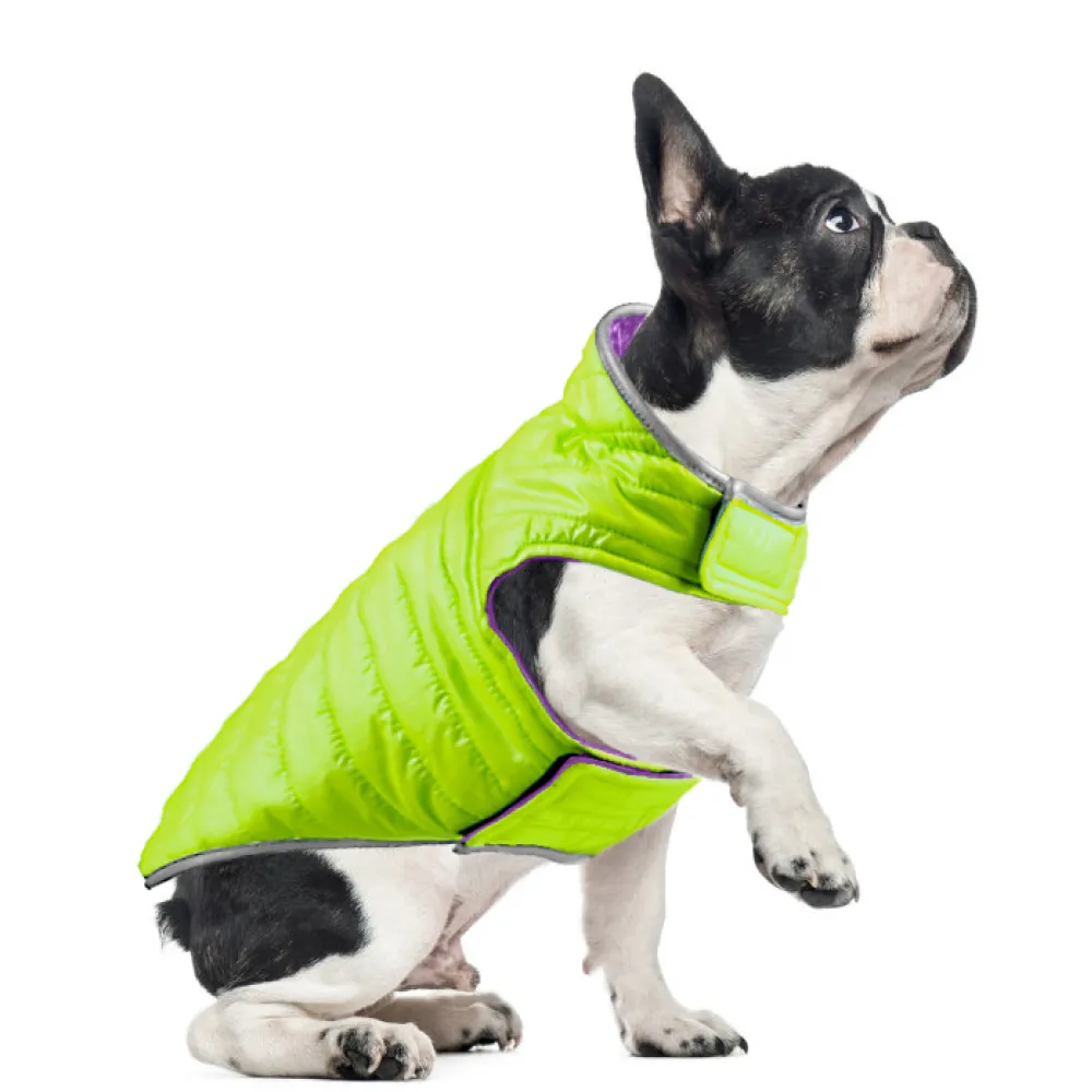 Talking Dog Club Double Trouble Reversible Jackets for Dogs (Purple/Neon Green)