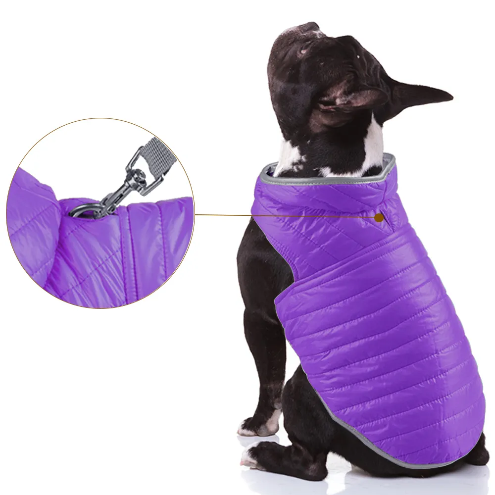 Talking Dog Club Double Trouble Reversible Jackets for Dogs (Purple/Neon Green)