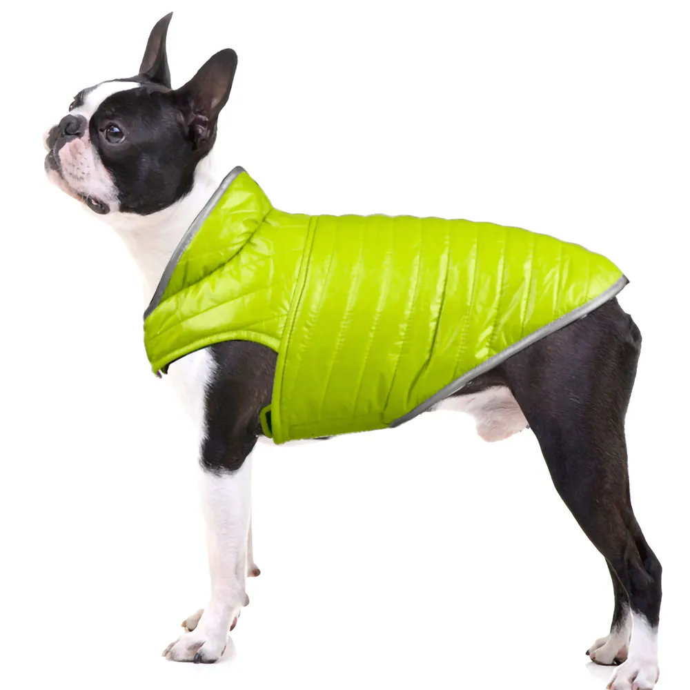 Talking Dog Club Double Trouble Reversible Jackets for Dogs (Purple/Neon Green)