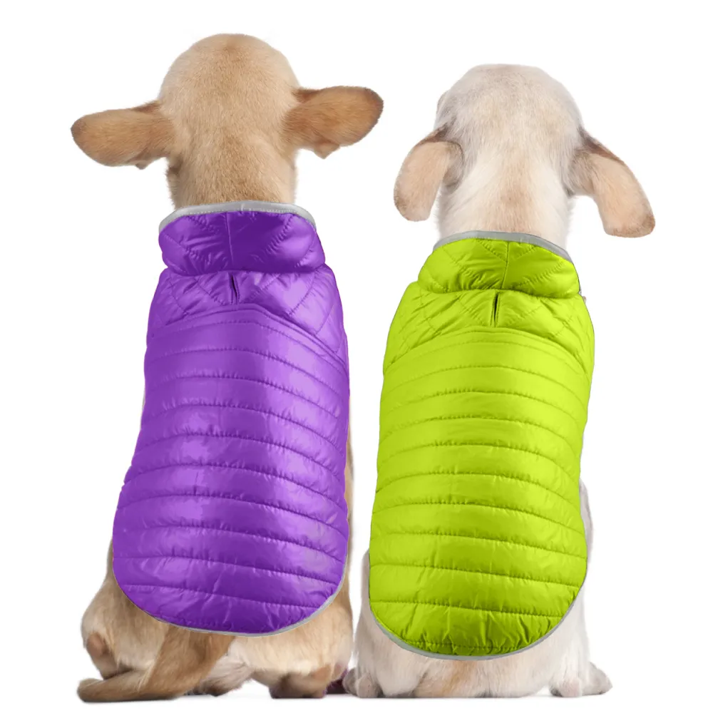 Talking Dog Club Double Trouble Reversible Jackets for Dogs (Purple/Neon Green)